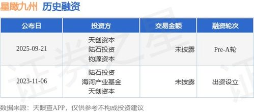 星瞰九州完成Pre-A輪融資，天創(chuàng)資本與陸石投資領(lǐng)投，加速信息技術(shù)咨詢業(yè)務(wù)發(fā)展
