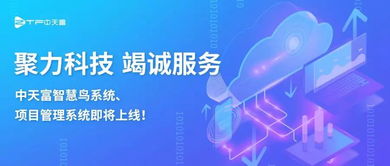 聚力科技攜手智慧鳥系統(tǒng) 項(xiàng)目管理系統(tǒng)即將上線，引領(lǐng)信息技術(shù)咨詢服務(wù)新篇章